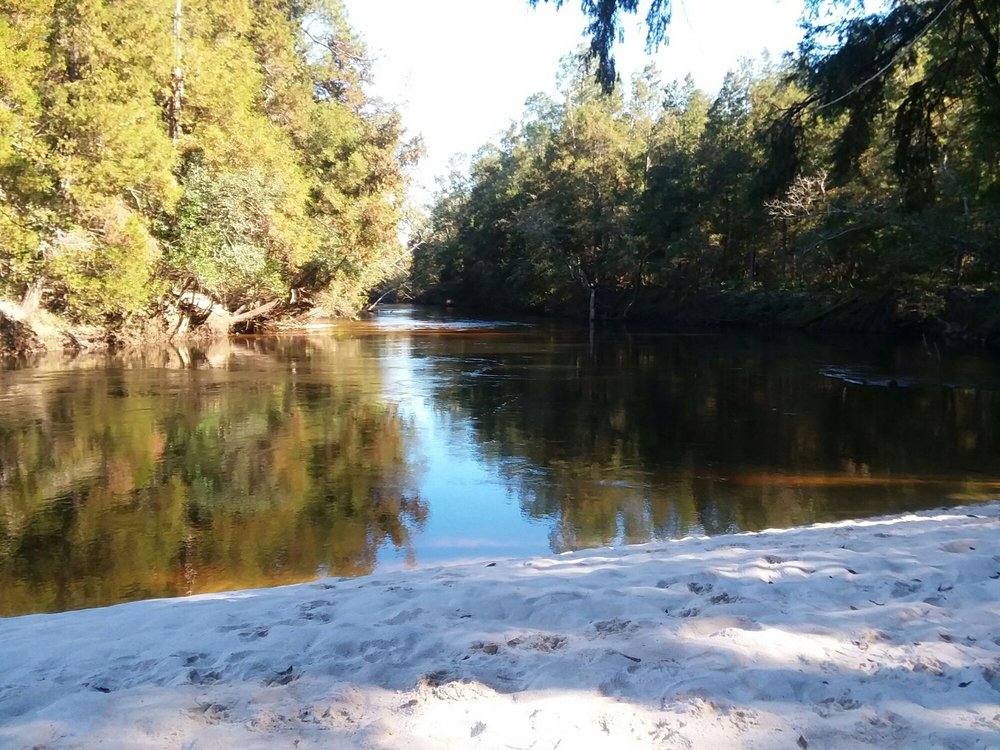 PERDIDO RIVER HIKING TRAIL Updated October 2024 16 Photos Robertsdale, Alabama Hiking Yelp