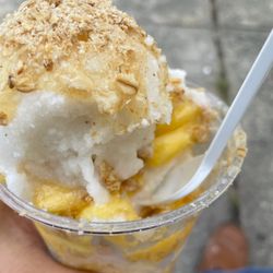 Mango Mania - Mango desert
