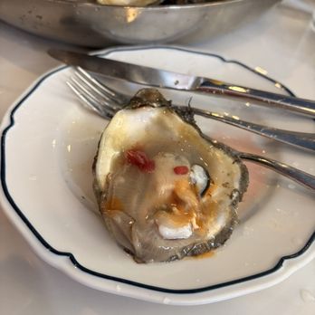 Maria's Oyster Bar - Oyster - Seafood Near Me - New Orleans, Louisiana Maria's Oyster Bar - Oyster - Seafood Near Me - New Orleans, Louisiana