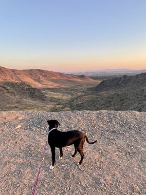 North Mountain Park by null