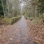 Interurban Trail