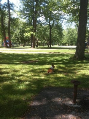 Riverside Park by null