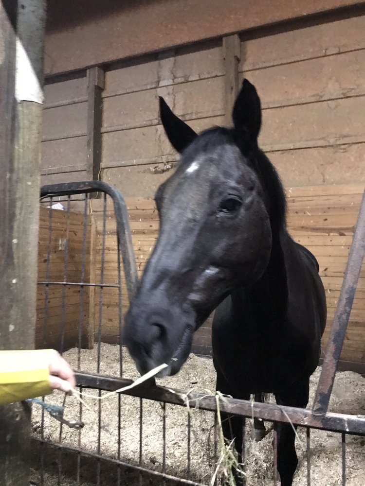 OLD DALTON FARM 32 Fordington Dr, Poughquag, New York Phone Number