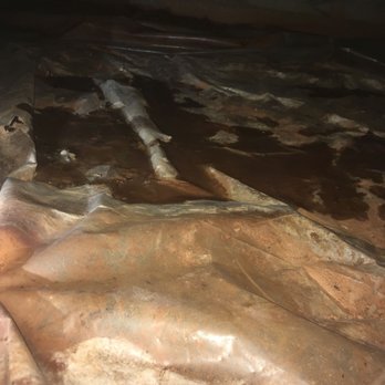 Triangle Crawl Space Solutions - a man laying on the ground - General Contractors Near Me Triangle Crawl Space Solutions - a man laying on the ground - General Contractors Near Me