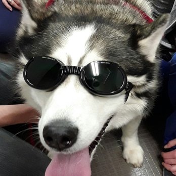 Hocking Hills Animal Clinic 23 Photos Veterinarians 1978 E Front St Logan Oh Phone Number Yelp