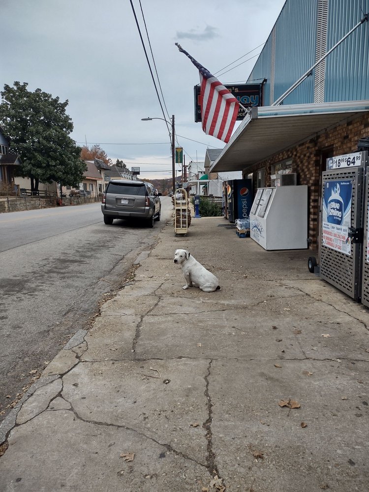 Dave S Bestway Lilbourn Mo at Victoria Farmer blog