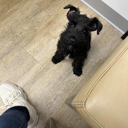 Twin Oaks Animal Hospital