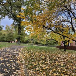 Crocheron Park