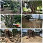 Photo of M&M Landscaping and Yard Services