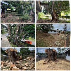 M&M Landscaping and Yard Services