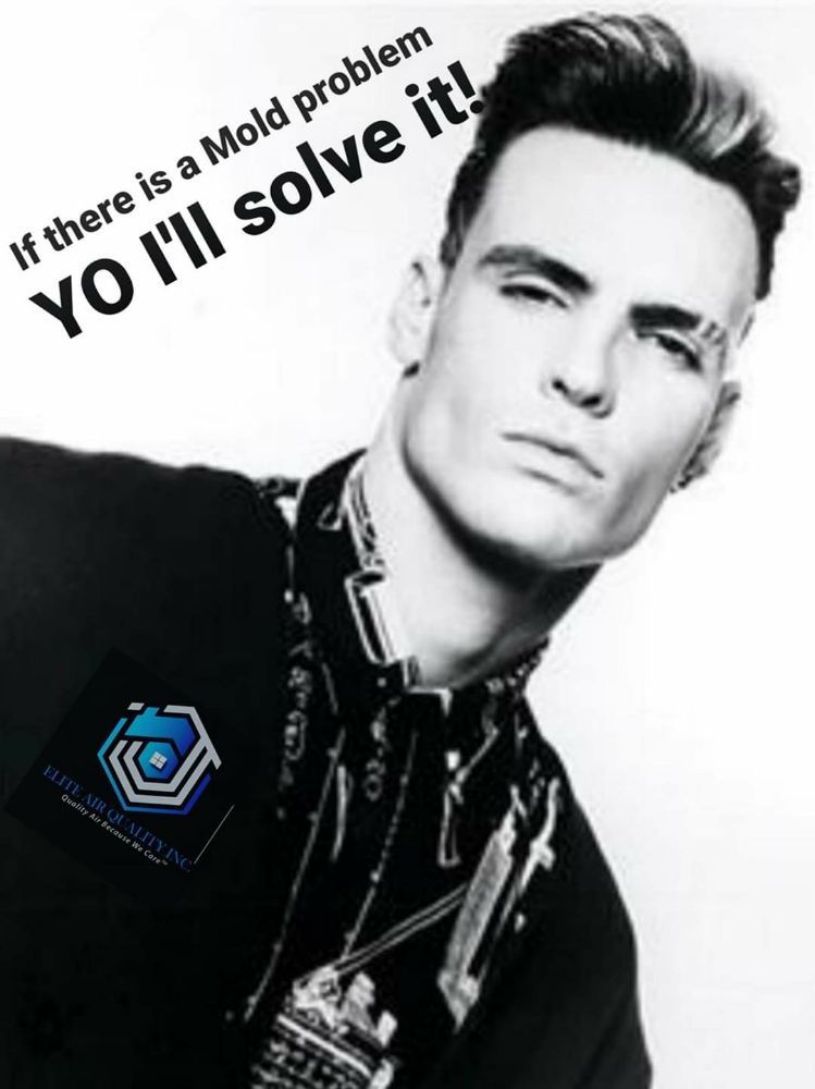 Elite Air Quality - mold inspector in Oviedo, FL