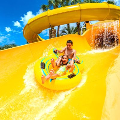 Big Kahuna's Destin by null