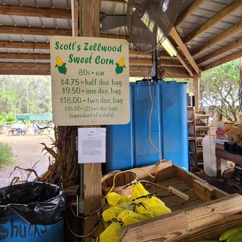 Long & Scott Farms - a display of bananas - Farmers Market Near Me - Mount Dora, Florida Long & Scott Farms - a display of bananas - Farmers Market Near Me - Mount Dora, Florida