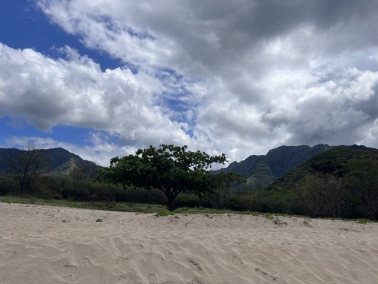 Mākua Beach by null