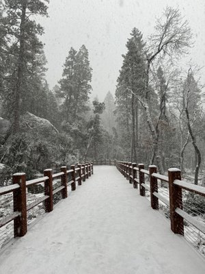 Bridalveil Fall by null