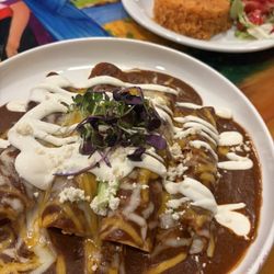 Chicken mole enchiladas