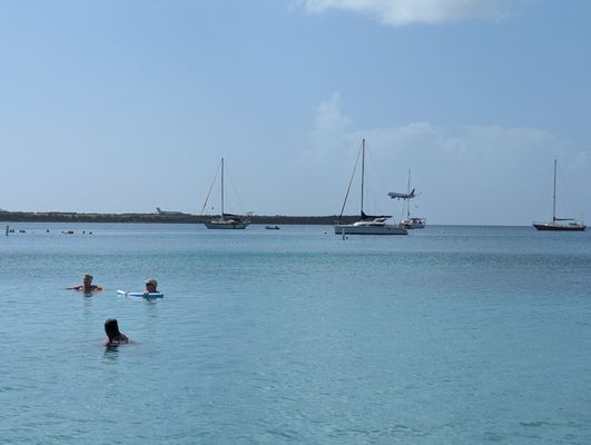 Virgin Islands Ecotours - St. Thomas by null
