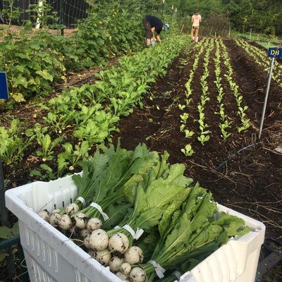 Finca Tres Robles by null