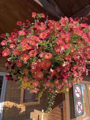 Bar U Ranch National Historic Site by null
