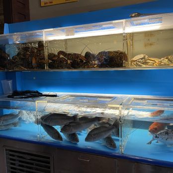Taste Of China - FRESH SEAFOOD - Chinese Near Me - Duluth, Georgia