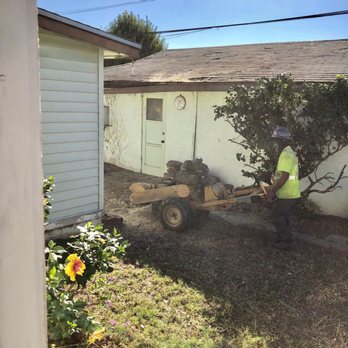 Jimmie's Tree Service - Grinding down the stump. - Tree Services Near Me Jimmie's Tree Service - Grinding down the stump. - Tree Services Near Me