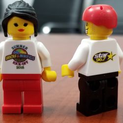 Bricks & Minifigs - Custom printed minifigures! Great for special events or birthdays!