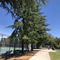 Blossom Hill Park - Tennis courts
