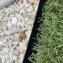 Photo of Applewood Landscaping