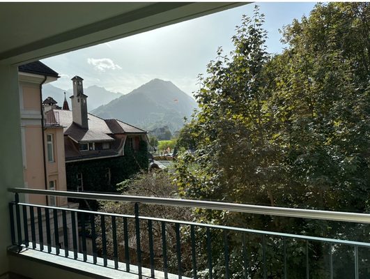 Hôtel Royal St Georges Interlaken Mgallery by null