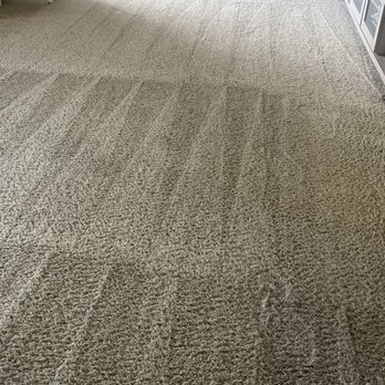 Elite Steemer - Carpet Cleaning Near Me - Daly city , California Elite Steemer - Carpet Cleaning Near Me - Daly city , California