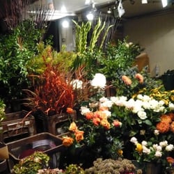 The Flower Yard