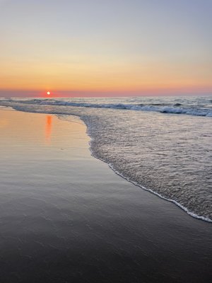 Indiana Dunes Visitor Center by null