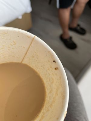 Tribute Coffee House by null