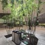 Park Avenue Plaza Public Space
