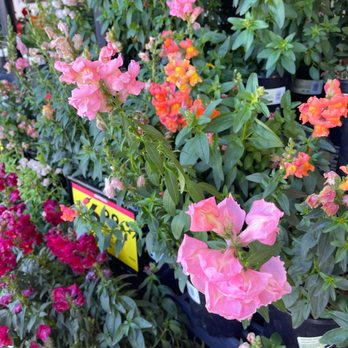Ralphs - Grocery Near Me - Torrance, California