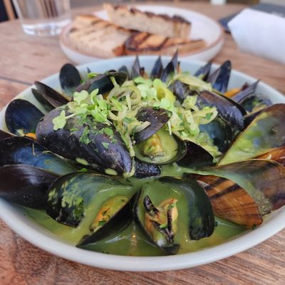 The Shore Room by null