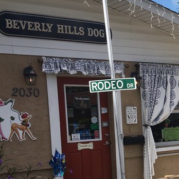 Beverly Hills Dog - Pet Boarding Near Me - Sarasota, Florida Beverly Hills Dog - Pet Boarding Near Me - Sarasota, Florida