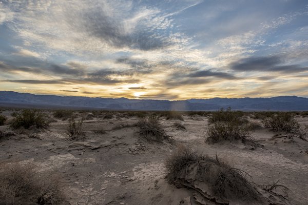 Mesquite Spring Campground by null