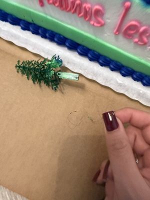 Arandas Bakery by null