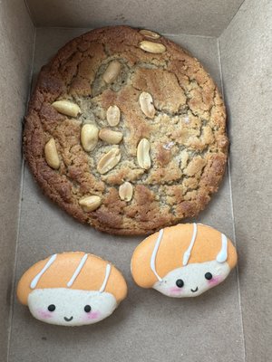 Sugar Blooms Bakery by null