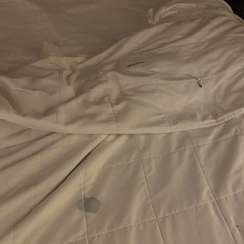 Econo Lodge Inn & Suites - Stains/dirt on bed - Hotels Near Me - Joplin, Missouri Econo Lodge Inn & Suites - Stains/dirt on bed - Hotels Near Me - Joplin, Missouri
