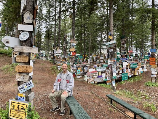 Sign Post Forest by null