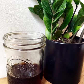 Curio Coffee - The rest of the concepcion huista! - Coffee & Tea Near Me - Cambridge, Massachusetts