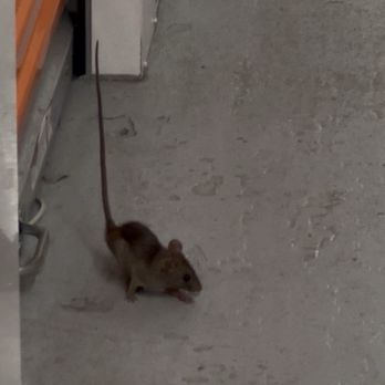 Public Storage - Mick mouse - Self Storage Near Me - West Palm Beach, Florida