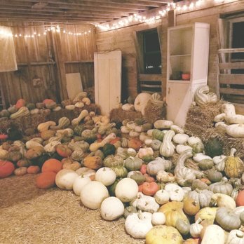 Sugar Grove Pumpkin Farm - Farmers Market Near Me - Sugar Grove, Illinois Sugar Grove Pumpkin Farm - Farmers Market Near Me - Sugar Grove, Illinois