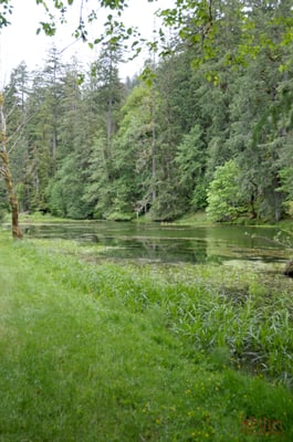 Hoh River Trailhead by null