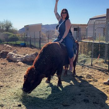 Wild West Horseback Adventures - Horseback Riding Near Me - Las Vegas, Nevada Wild West Horseback Adventures - Horseback Riding Near Me - Las Vegas, Nevada