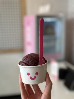 Sorry Not Sorry Creamery - Flamingo by null