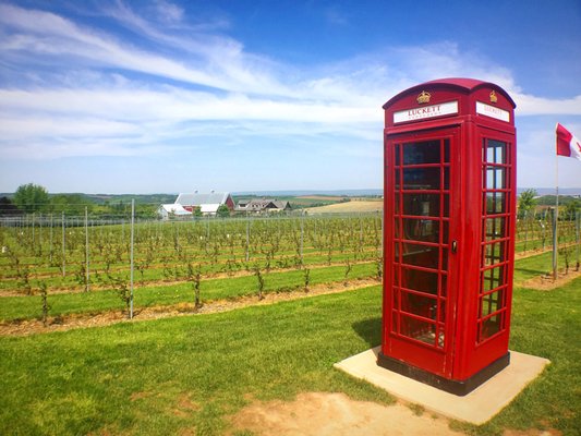 Luckett Vineyards by null