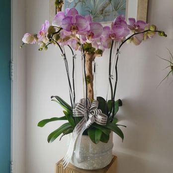 Orchid Boutique Florist - Custom orchid arrangement. - Flowers & Gifts Near Me - San Gabriel, California Orchid Boutique Florist - Custom orchid arrangement. - Flowers & Gifts Near Me - San Gabriel, California